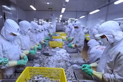 Vietnam's agriculture sector surpasses many goals in 2019