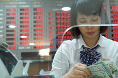 Central bank buys 8.35 billion USD to build foreign reserves
