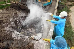 National steering committee set up to combat African Swine Fever 