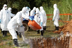 FAO: Vietnam should raise high alert on African Swine Fever