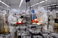 Shares of shrimp exporters surge after US cuts anti-dumping tariffs