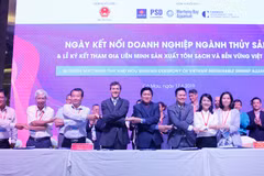 Vietnam Sustainable Shrimp Alliance established