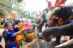 Thais celebrate traditional New Year festival