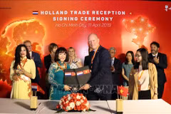 Netherlands boosts cooperation with HCM City 