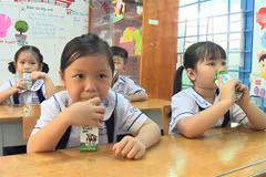 HCM City launches school milk programme