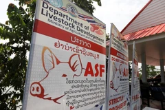 Thailand puts 24 provinces on alert against African swine fever