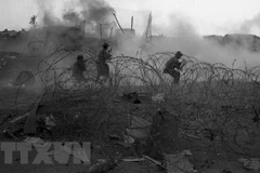 Activities mark War Invalids and Martyrs Day