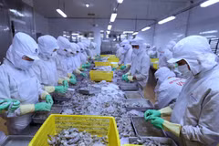 Fisheries sector targets 10 billion USD export value