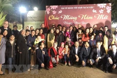 Ambassadors meet with overseas Vietnamese ahead of Tet 