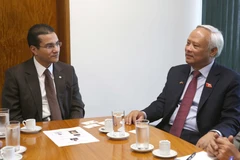 Vietnam, Brazil to reinforce legislative relations
