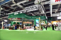 Vietnamese firms attend second China International Import Expo