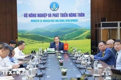 Deputy Minister of Agriculture and Rural Development Phung Duc Tien attends the 46th online meeting of the ASEAN Ministers on Agriculture and Forestry. (Photo: VNA)
