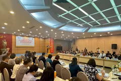 An overview of the dialogue (Photo: VietnamPlus)
