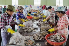 Canada continues support for SMEs’ development in Tra Vinh
