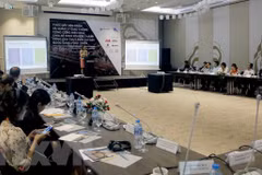 Sweden helps HCM City build smart transportation network