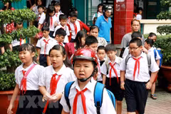 Vietnam makes progress in human development: UNDP official