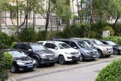 HCM City to pilot public car rentals