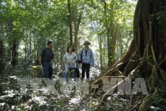 Kon Tum province uses technology to fight fires