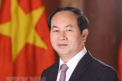 President emphasises Vietnam's desire to boost ties with Egypt