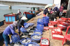 Agro-forestry-fishery posts highest GDP growth in decade