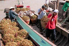 Vegetable, fruit export growth slows down