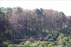 Project strengthens community’s engagement in natural resource management