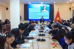 Experts discuss current situation of informal economy