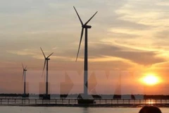Tra Vinh: Over 144 million USD invested in wind power plant 