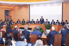 Hanoi seeks partnership with French businesses in multiple areas