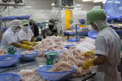 VASEP rejects false news on tra fish in Romania