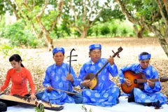 Binh Duong spends big to preserve “Don ca tai tu” art