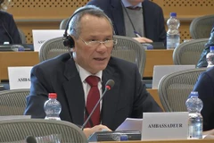 European Parliament urges acceleration of signing of EVFTA