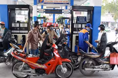 Petrol prices remain stable, oil prices slightly rise