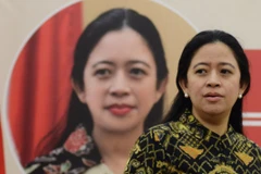 Indonesia records great achievements in nuclear utilisation