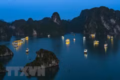 Businesses urged to protect Ha Long Bay