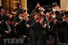 President attends concert marking Vietnam – Japan diplomatic ties