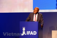 Vietnam attends IFAD Governing Council’s meeting 