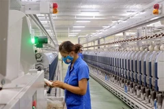 Processing – major contributor to Vietnam’s economy