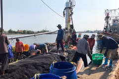 Thailand to discuss cooperation on migrant labour with neighbouring countries
