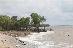 Pre-COP24 workshop talks nationally determined contributions 