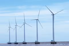 Investors eye wind power development in Soc Trang