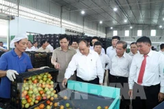 PM suggests agriculture triangle for Lam Dong development model