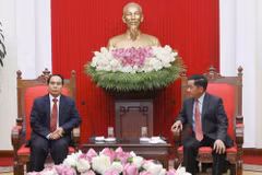 Vietnam, Laos boost cooperation in Party inspection work