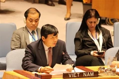 Rule of law crucial to peace, development: Ambassador