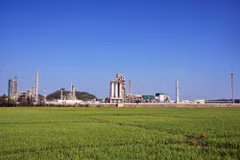 Dung Quat listed among top 10 green plants in 2018