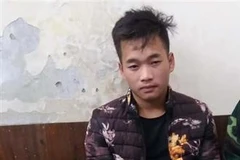 Man smuggling 10 bricks of heroin arrested in Son La 