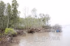 Southernmost province to resettle 5,600 households