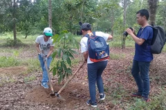New plants ensures biodiversity in Dong Nai Biosphere Reserve