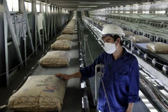 Domestic cement consumption down, export market bright