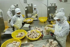 Vietnam moves to develop responsible fishery industry